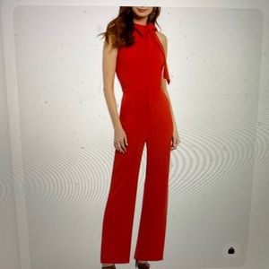 Gorgeous Vince Camuto Jumpsuit
